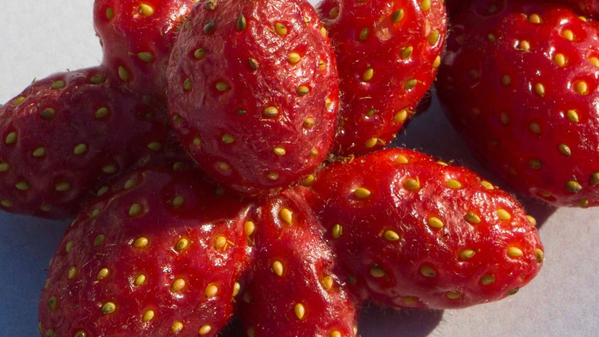Zdeformowane truskawki