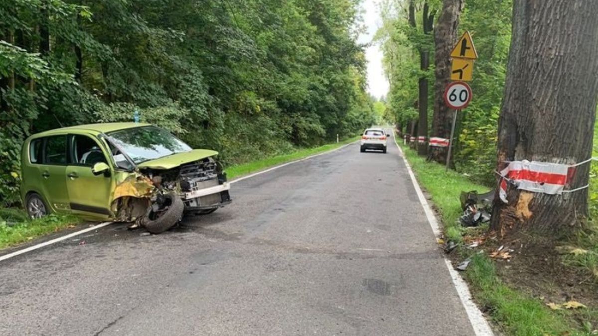 Samochód osobowy uderzył w drzewo. Przyczyna wypadku zdumiała policjantów
