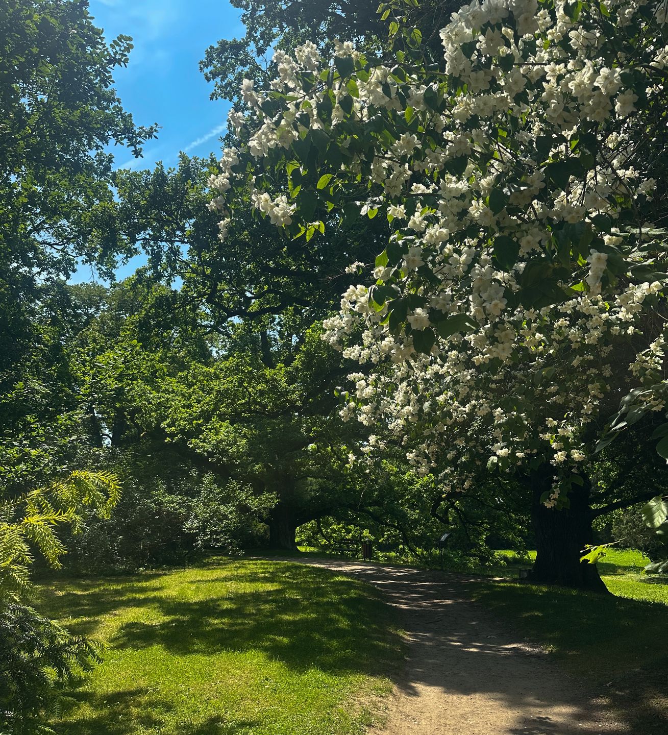 Zwiedzając zamek w Krasiczynie, warto odwiedzić otaczający go park.