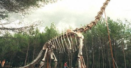 Ponad 100 skamieniałych jaj dinozaurów znaleziono w Indiach