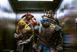 Żółwie Ninja zawojowały Amerykę