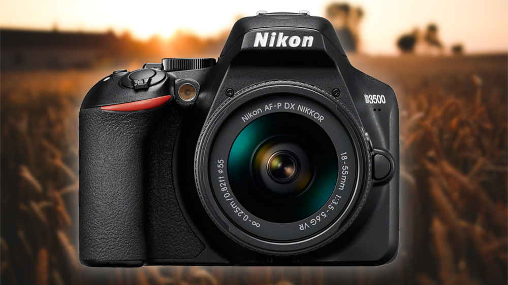 Nikon D3500 - przyjazna lustrzanka dla początkujących 1