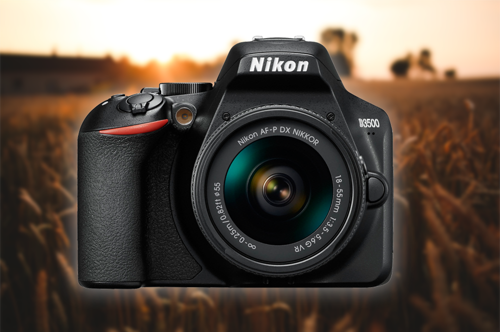 Nikon D3500 - przyjazna lustrzanka dla początkujących