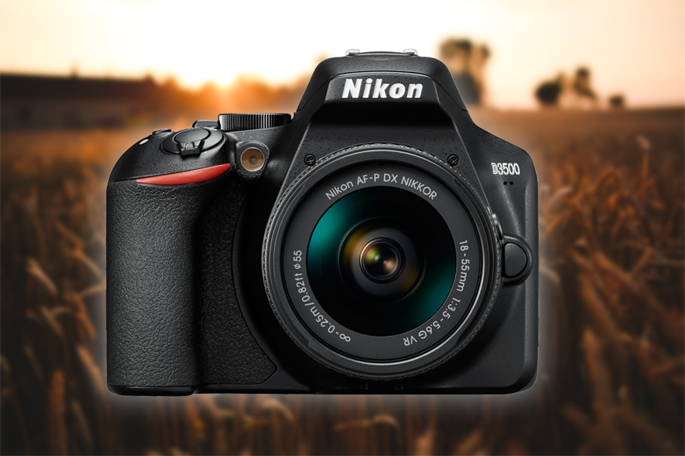 Nikon D3500 - przyjazna lustrzanka dla początkujących 1