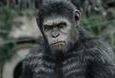 Zajrzyj za kulisy ''War for the Planet of the Apes''