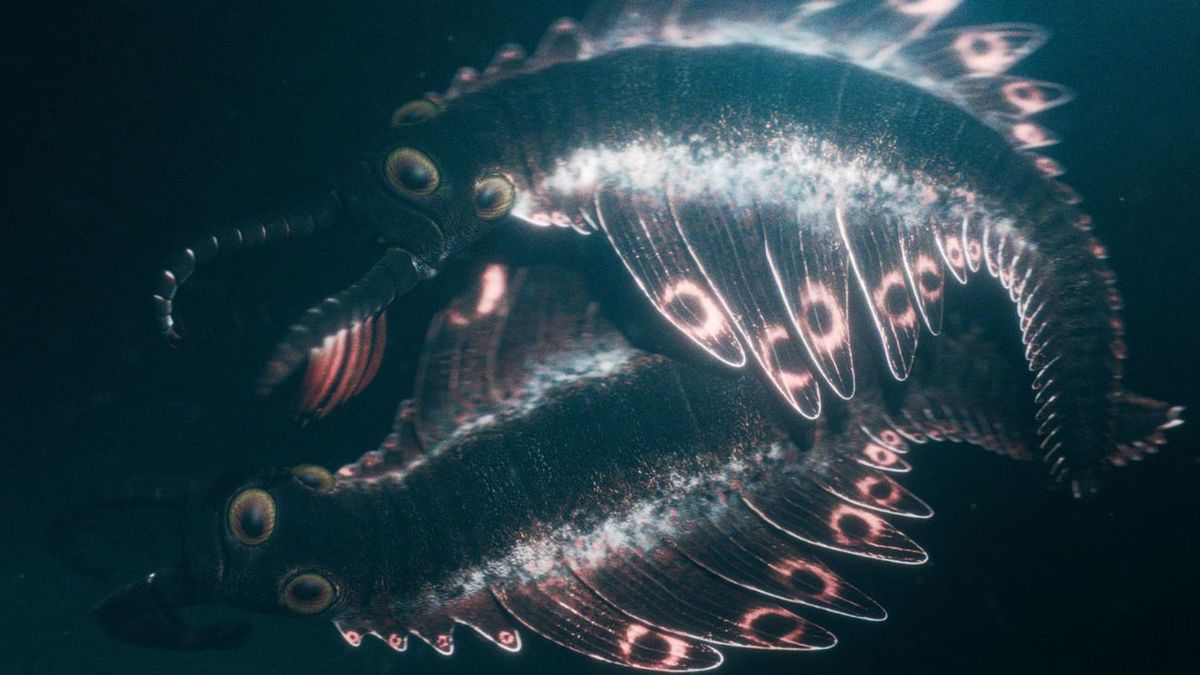 Odkrycie trójokiego drapieżnika sprzed pół miliarda lat w Kanadz