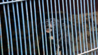 Schroniska pod kontrolą. Zima obnażyła słabości