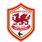 Cardiff City