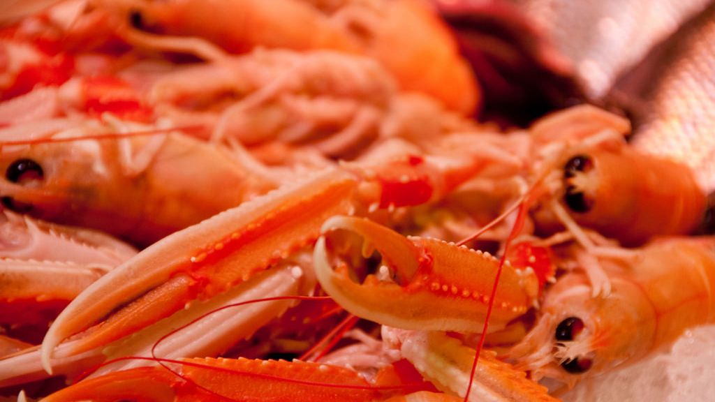 Dziki rak poddany obróbce nawilżającej mięso
