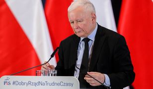 "Euro po 3 zł". Burza po słowach Jarosława Kaczyńskiego. "O sile waluty mówi kurs"