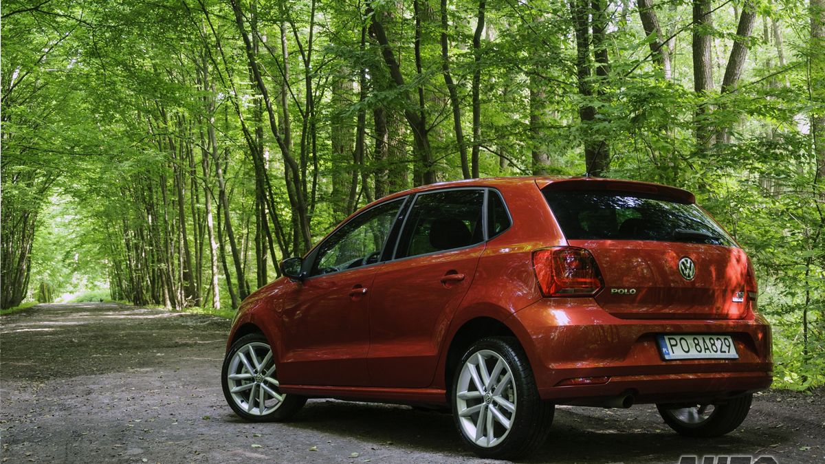 Zdjęcie ilustracyjne do artykułu