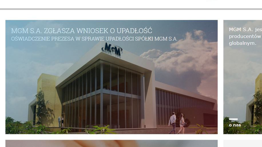 strona internetowa spółki MGM