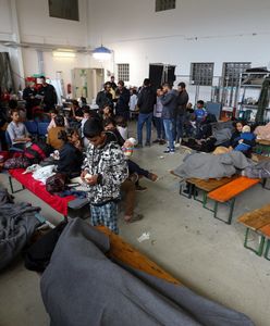 Prezydent Niemiec: Nie możemy przyjmować migrantów. "Limit osiągnięty"