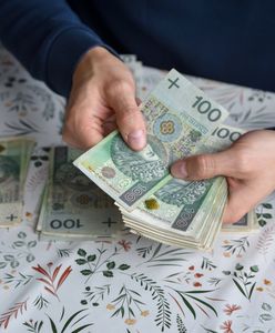 260 zarzutów dla oszustki z Piotrkowa. Wyłudziła 1,4 mln zł