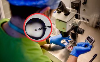 Był dawcą nasienia. Wstrząsające odkrycie. Odkryto groźną mutację