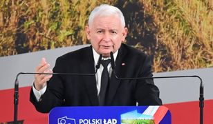 Nowy program PiS dla wsi. Kaczyński: Żaden diabeł nas nie zatrzyma