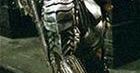 Predator w rękach Roberta Rodrigueza?