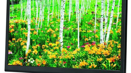 Nowe monitory AccuSync od NEC 1