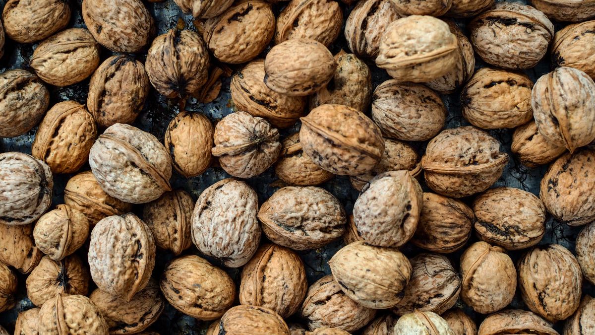 Jak suszyć orzechy włoskie?