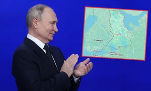 Tajemnicza wycinka lasu przy granicy z NATO. Ekspert o celu Rosjan