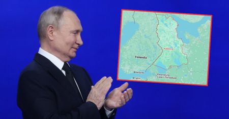 Tajemnicza wycinka lasu przy granicy z NATO. Ekspert o celu Rosjan