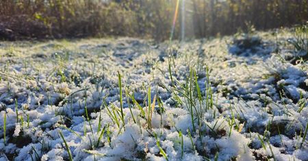 Alert IMGW dla całego regionu! Nadchodzą silne przymrozki. Temperatura przy gruncie spadnie do -5 st. C
