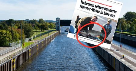 Wypuszczają je za naszą granicą. Giganty płyną już do Niemiec