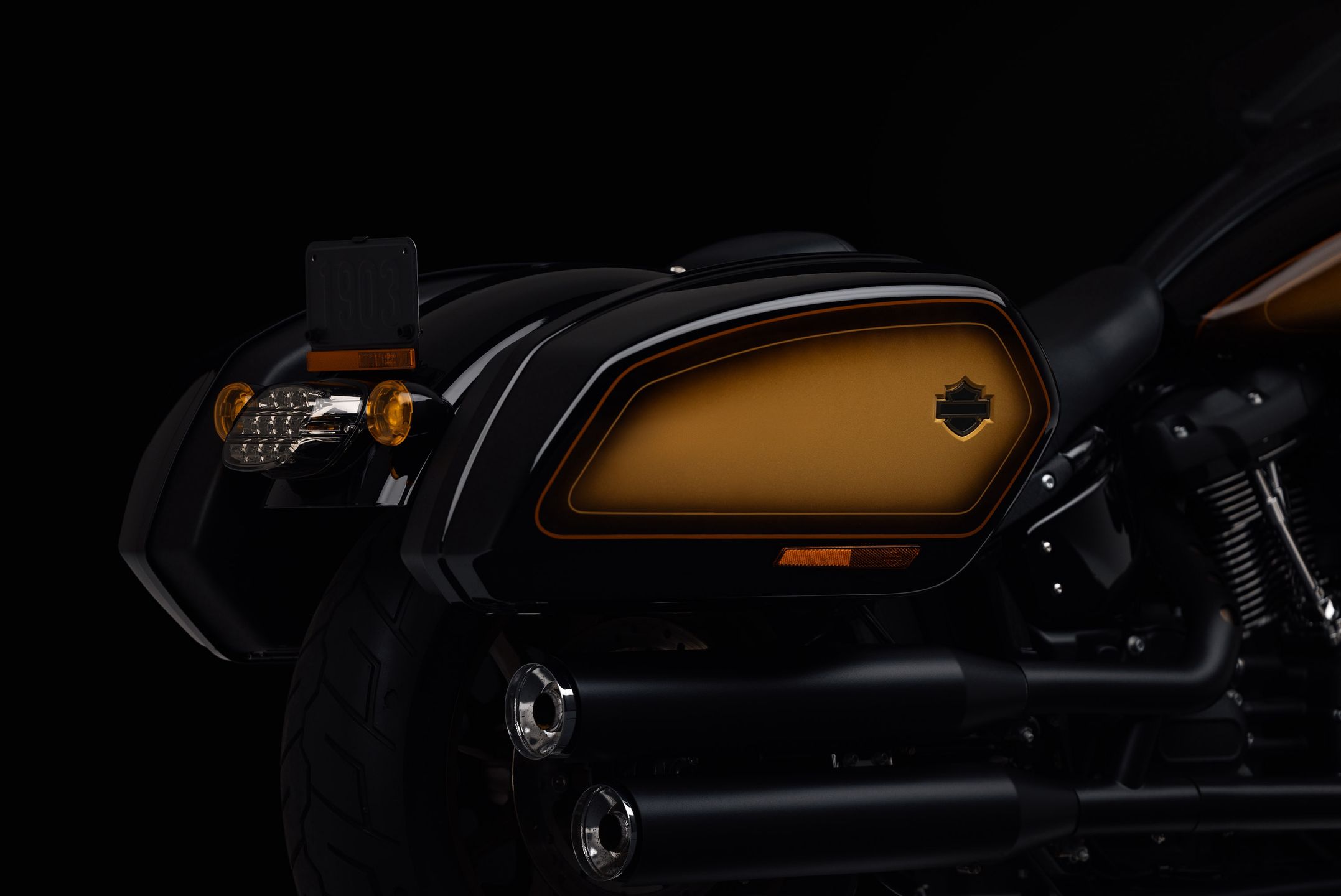 Harley-Davidson Low Rider ST Enthusiast Tobacco Fade