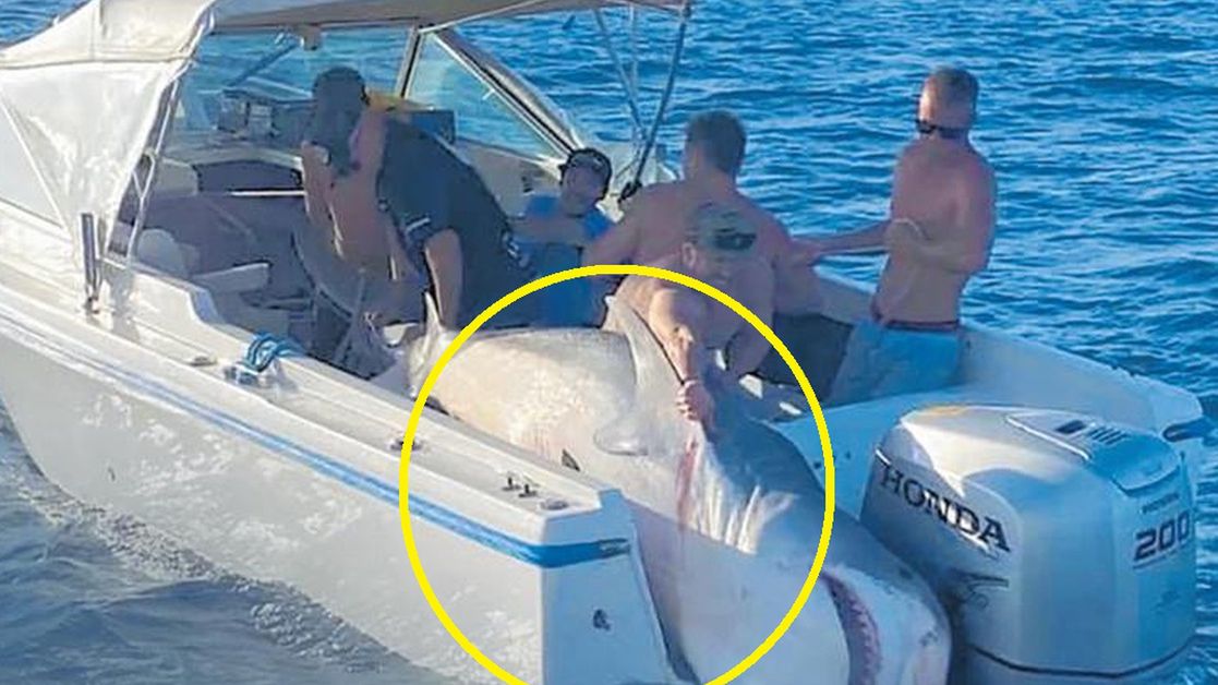 Wędkarze opublikowali w sieci oburzające zdjęcie