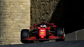 F1. Gałąź na torze. "Tego nie było widać w telewizji"