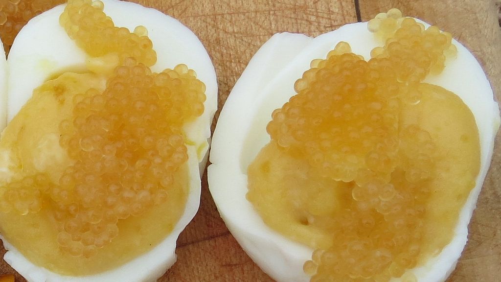 Ikra z ryb o białym mięsie