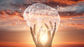 When you don’t sleep, your brain eats itself.