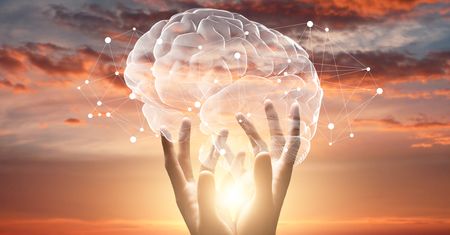 When you don’t sleep, your brain eats itself.