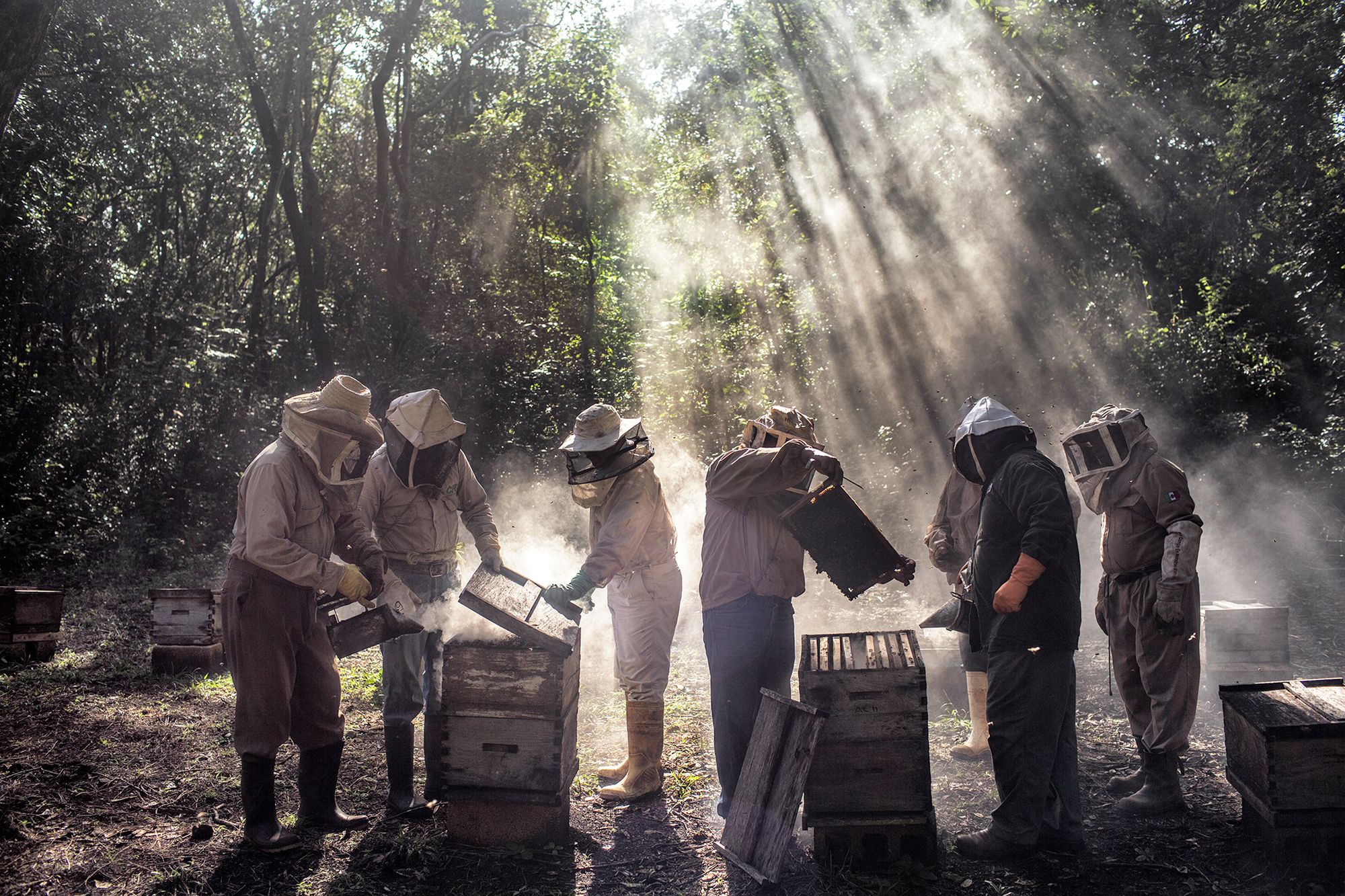 World Press Photo 2019 – znamy nominowanych fotografów 42