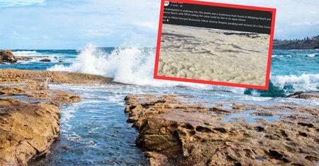 Zobaczyli dziwną pianę przy plaży. Nagle zaczęli się źle czuć