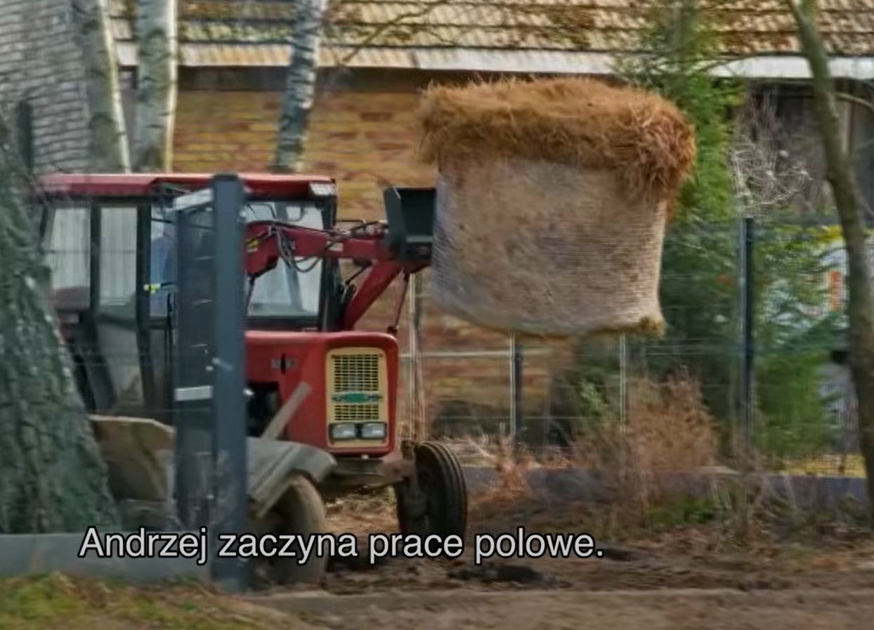 Andrzej z Pluycz w programie "Rolnicy. Podlasie"