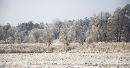 Magia zimowego poranka nad Gwdą – mroźne piękno Piły