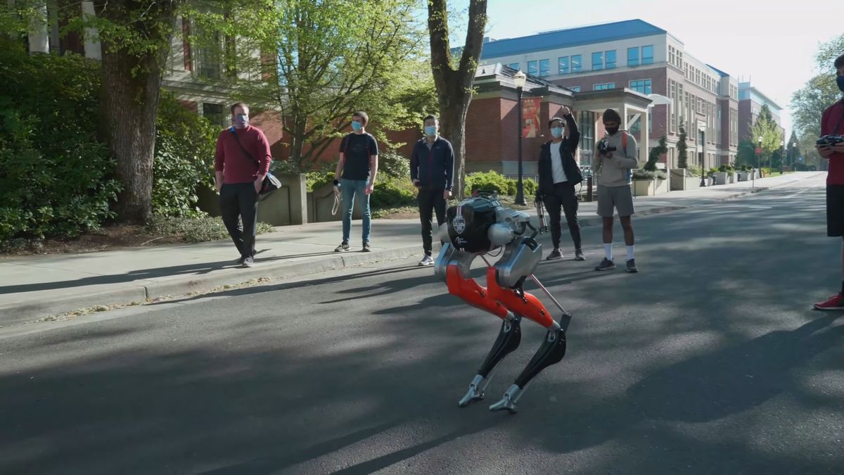 Robotyczny struś wyręczy kurierów? 1