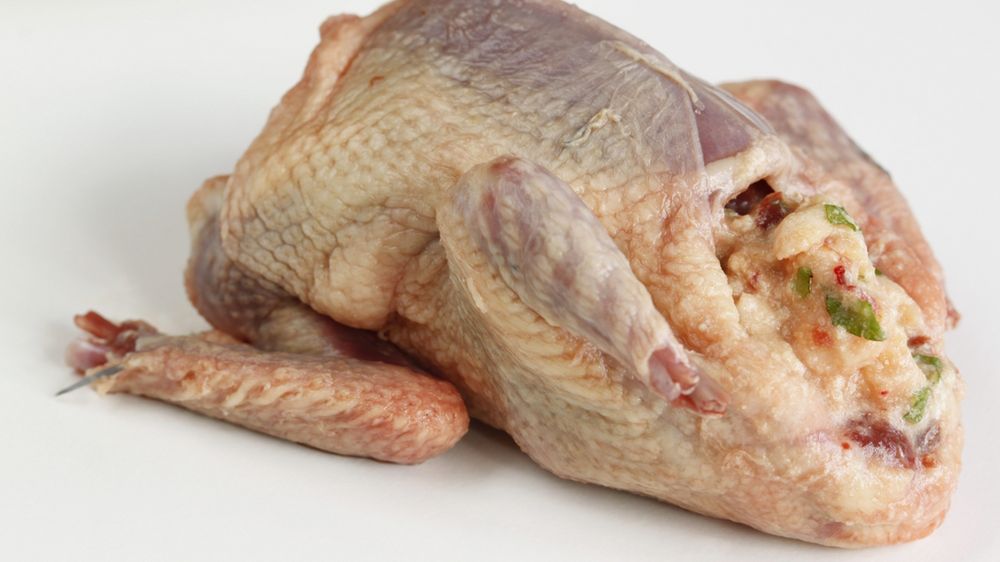 Surowy gołąb (mięso i skóra)