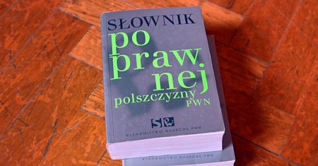 Polacy nie gęsi... Sprawdź, czy Rej byłby z Ciebie dumny [QUIZ]