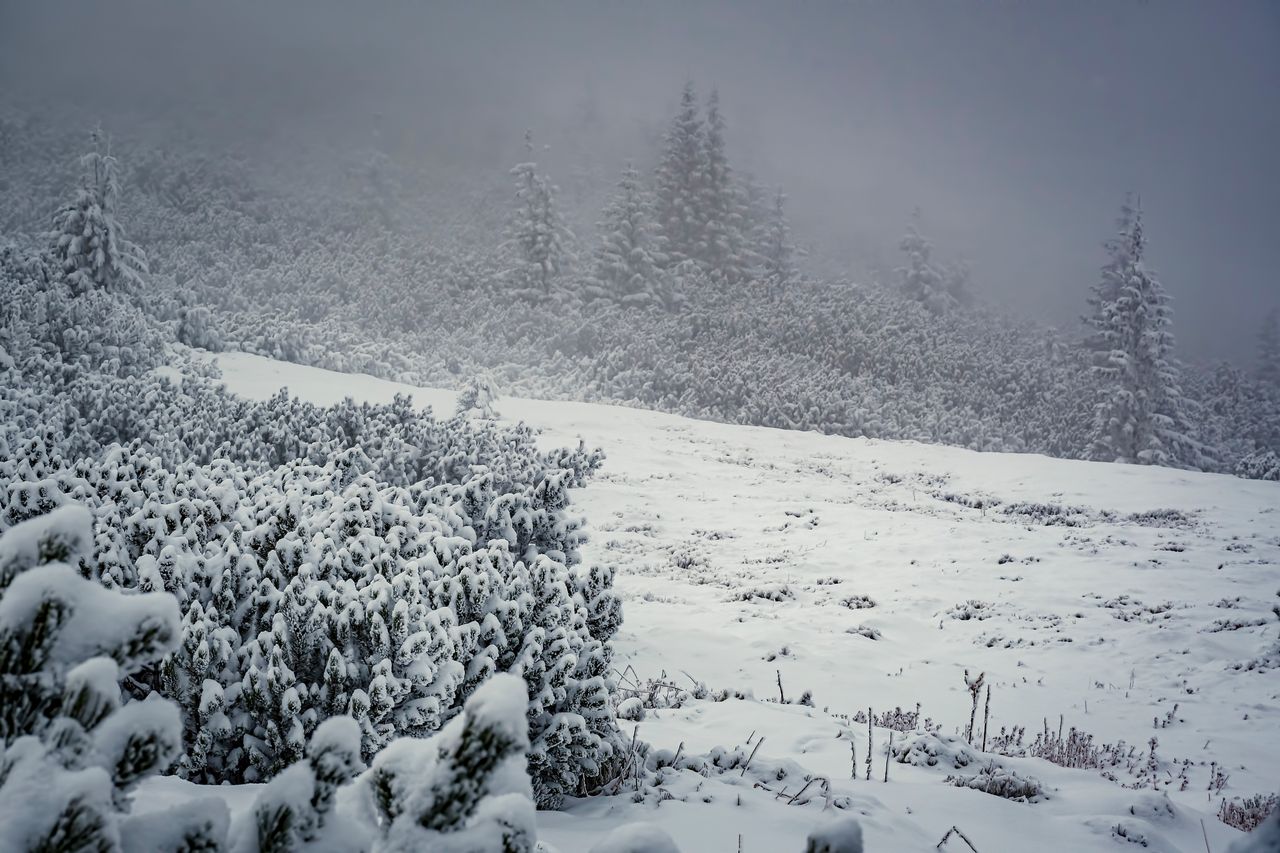 Ważny apel. Zamknęli cały park narodowy