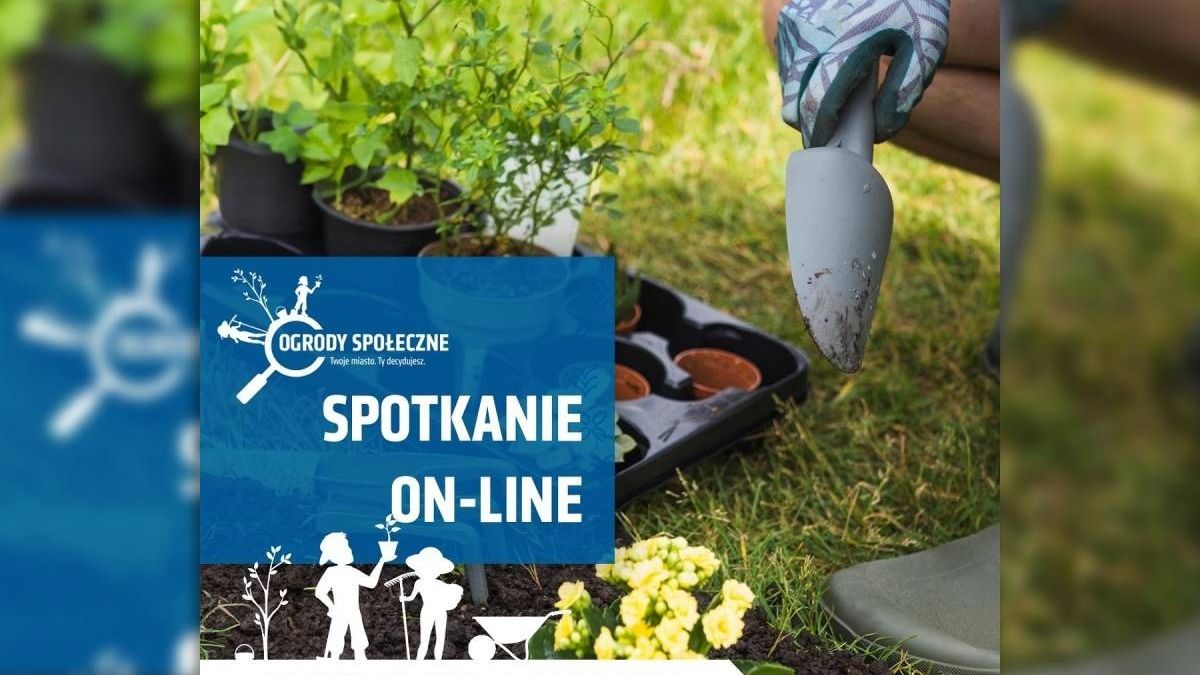 grafika konsultacje społeczne