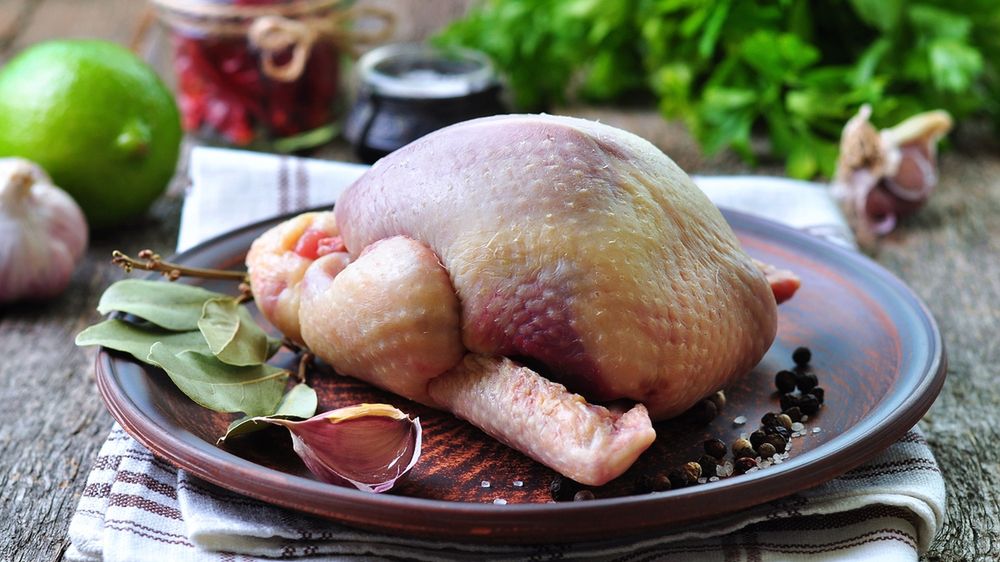 Surowy gołąb bez skóry (samo mięso jasne)