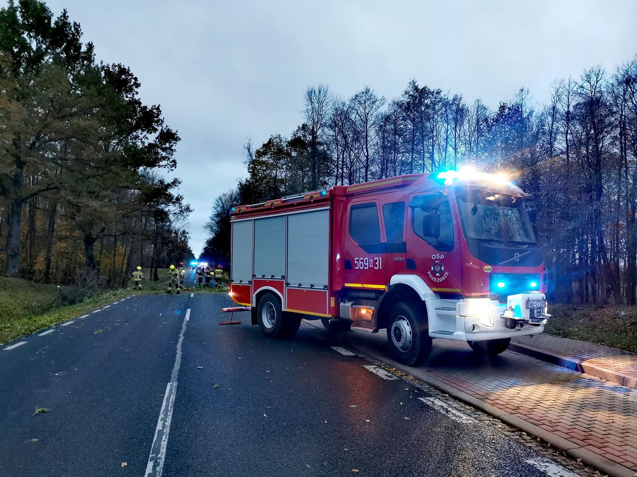 Karetka uderzyła w leżący na drodze konar