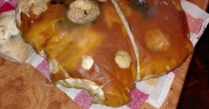Udane grzybobranie mieszkańców Ostrowca Świętokrzyskiego