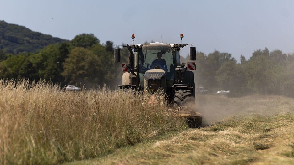 W ramach deregulacji planowane jest dodanie nowej kategorii upraw, do których mogą stosowane być dopłaty do składek ubezpieczenia od ryzyka wystąpienia szkód m.in. przez huragan i powódź. Ma nią być trawa nasienna. 