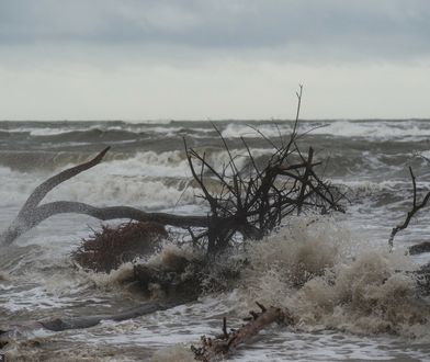 Bardzo wietrzna pogoda na Bałtyku 