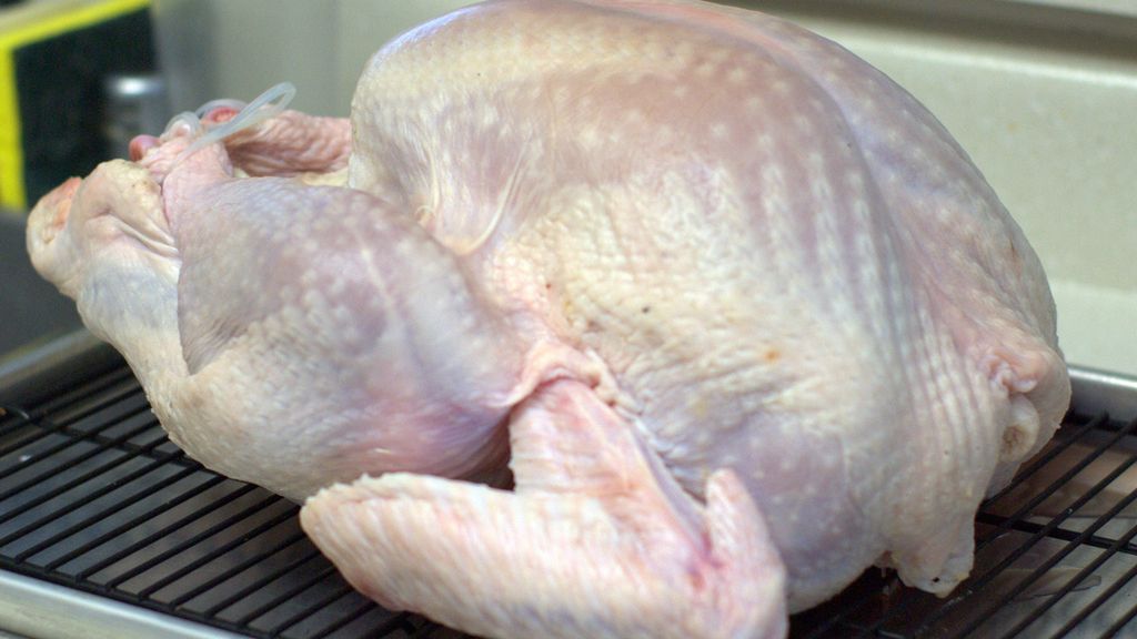 Surowy indyk (samo mięso)