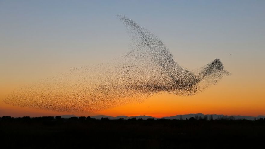 Fotograf zrobił niesamowite zdjęcia - nie zdawał sobie z tego sprawy, dopóki nie zobaczył ich w domu 1