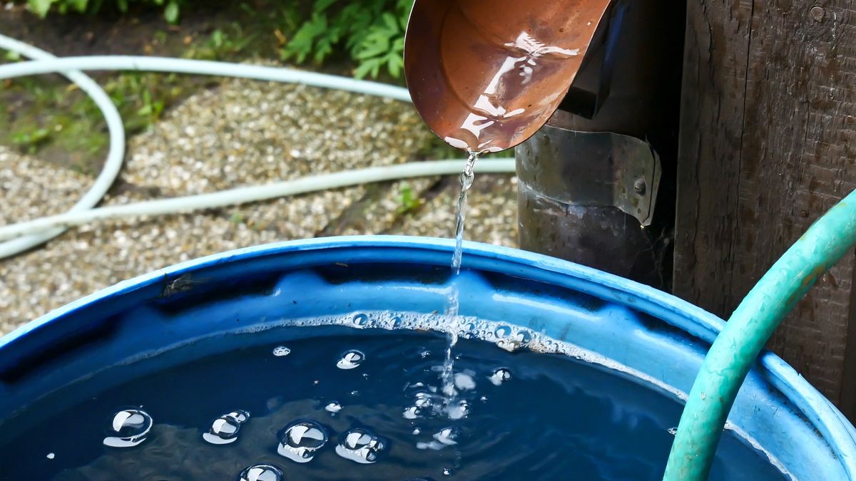 Deszczówka w kanalizacji sanitarnej – co grozi za naruszenie przepisów?